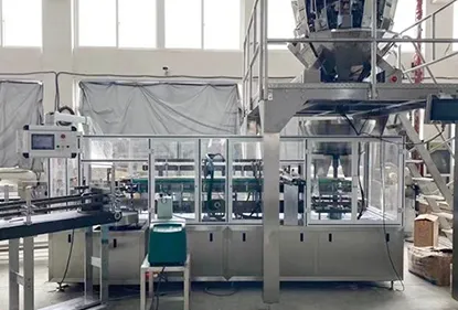 Saudi customer snack packing machine