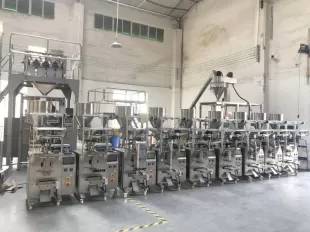 Automati Power Saving Dry Fruit Packing Machine