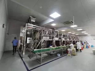 Automati Power Saving Dry Fruit Packing Machine